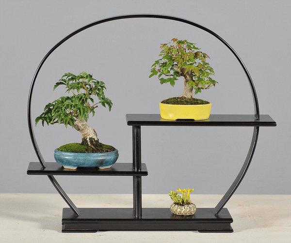 Shohin-Sandra Parobij.jpg