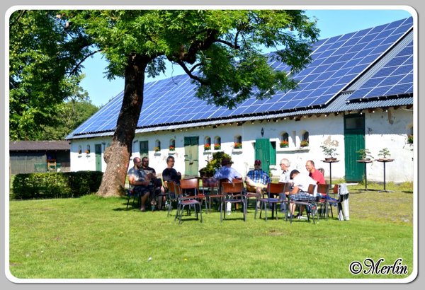 BFFSommerfest2014_Merlin_1.jpg