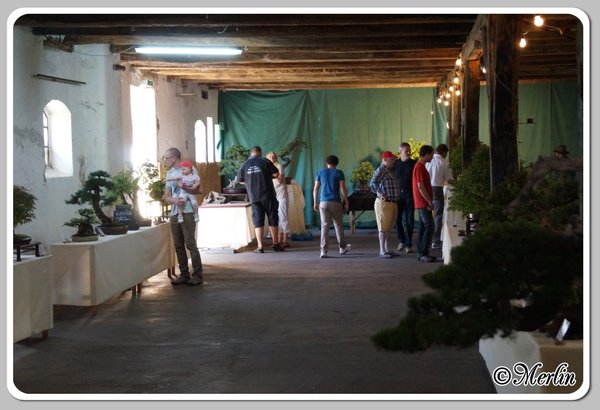 BFFSommerfest2014_Merlin_9.jpg