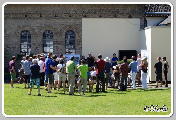 BFFSommerfest2014_Merlin_11.jpg