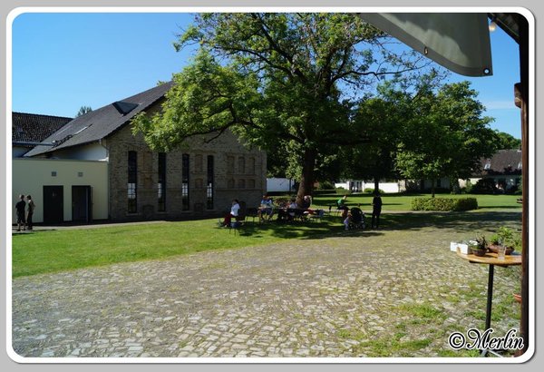 BFFSommerfest2014_Merlin_12.jpg