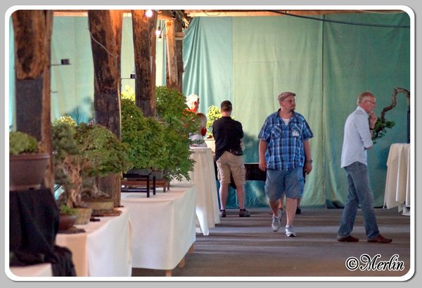 BFFSommerfest2014_Merlin_15.jpg