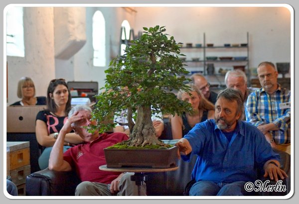 BFFSommerfest2014_Merlin_20.jpg