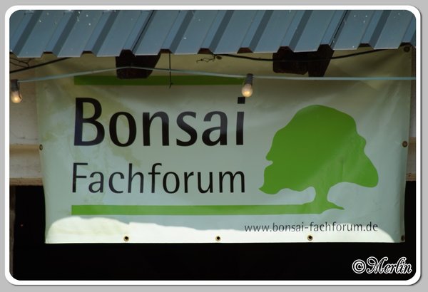 BFFSommerfest2014_Merlin_a1.jpg