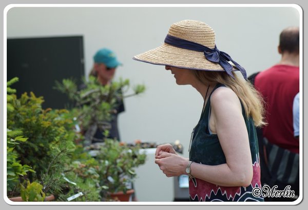 BFFSommerfest2014_Merlin_leute16.jpg