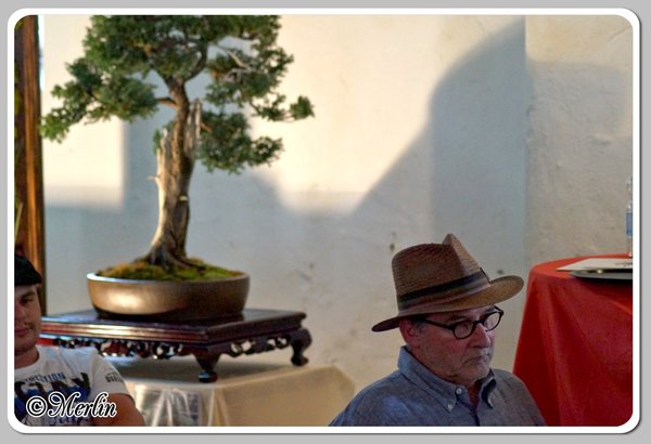 BFFSommerfest2014_Merlin_leute25.jpg