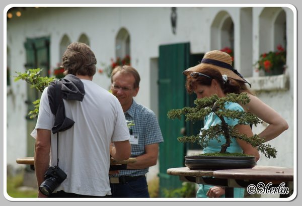 BFFSommerfest2014_Merlin_leute31.jpg
