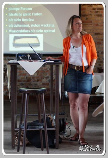 BFFSommerfest2014_Merlin_leute33.jpg