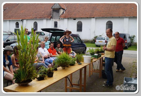 BFFSommerfest2014_Merlin_leute44.jpg