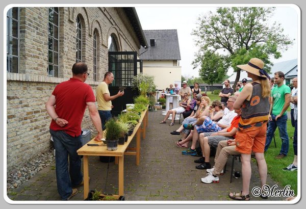 BFFSommerfest2014_Merlin_leute45.jpg