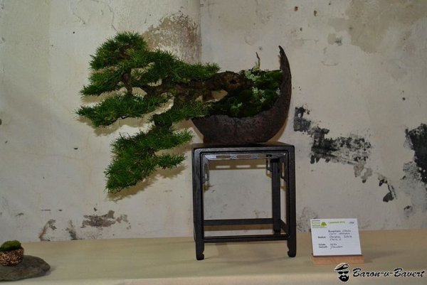 DSC_1480a.jpg