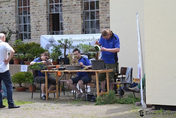 DSC_1517a.jpg