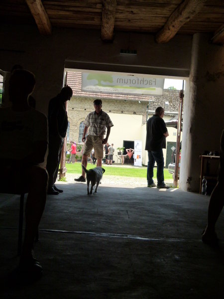 Sommerfest2014 096.JPG