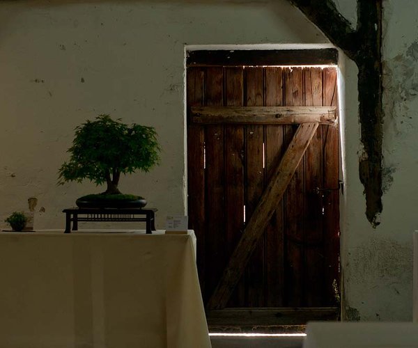 Türe mit Gegenlicht