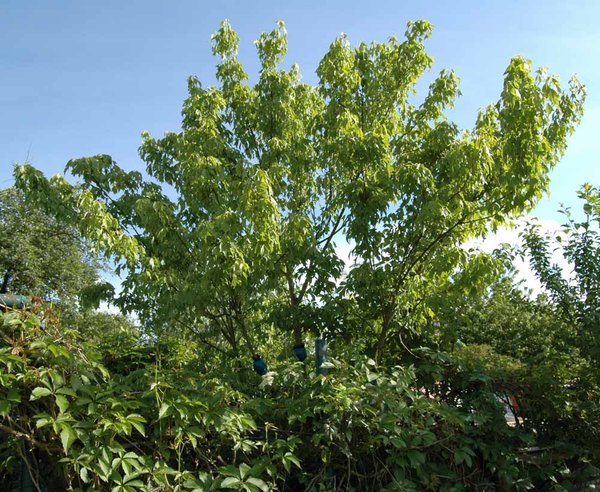 200514 (20).JPG