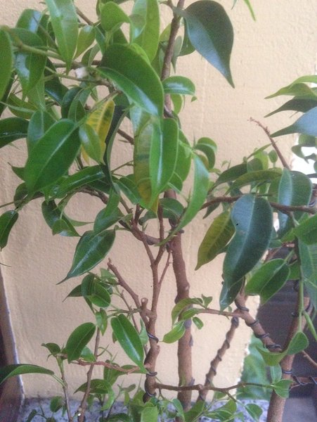 Foto 11.06.14 21 26 36.jpg