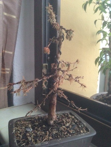 Foto 11.06.14 21 28 25.jpg