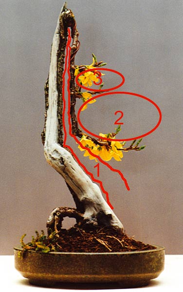 Forsythie-Negativbereich.jpg