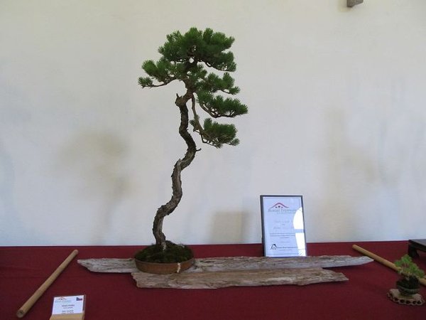 k-IMG_2292.JPG