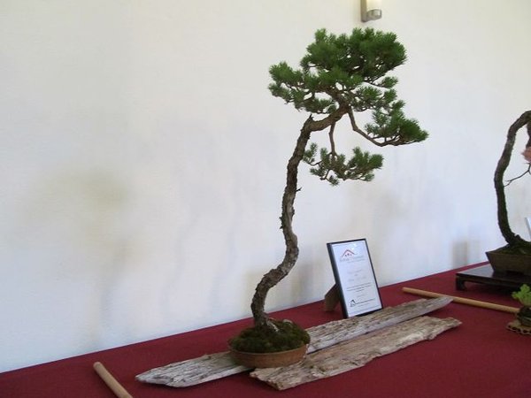 k-IMG_2293.JPG
