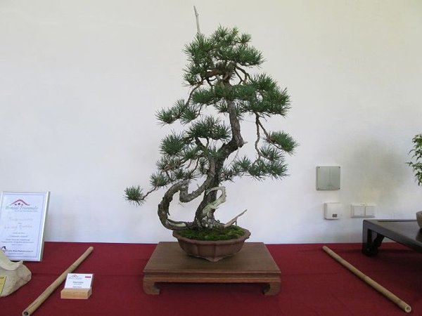 k-IMG_2295.JPG