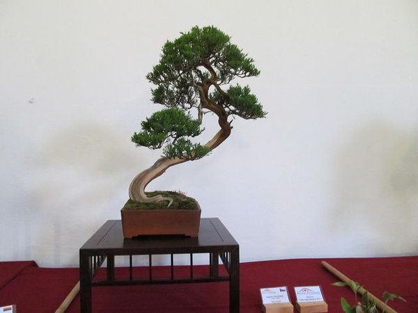 k-IMG_2283.JPG
