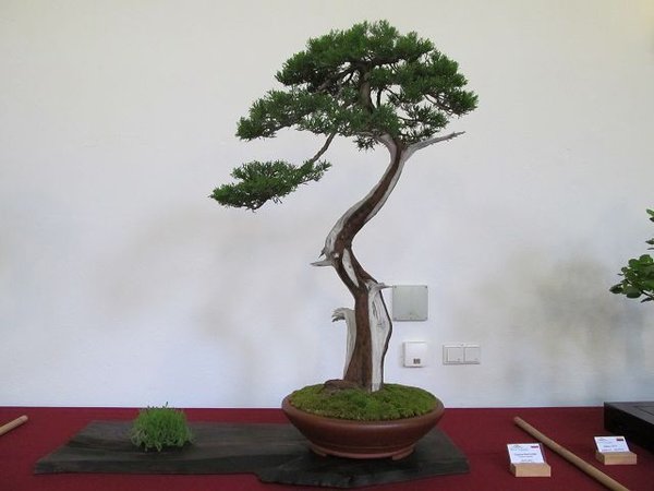 k-IMG_2286.JPG