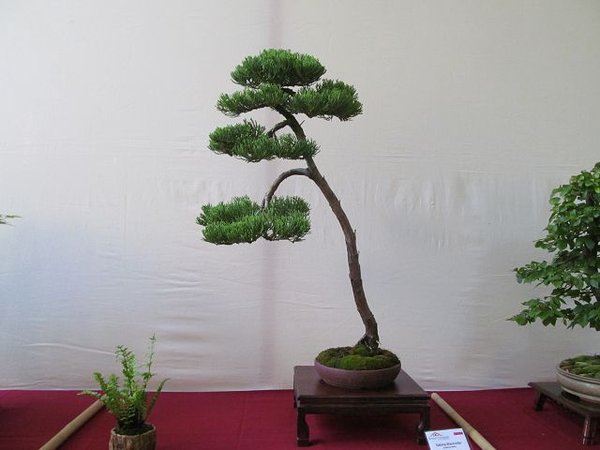 k-IMG_2317.JPG