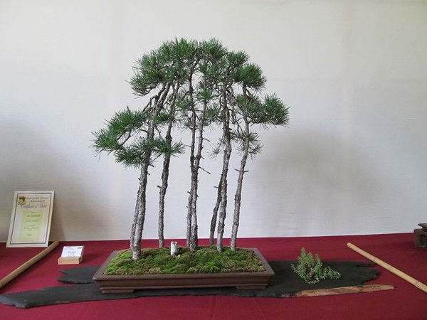 k-IMG_2278.JPG