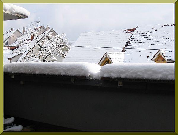 und das am 05.03.2006, 4 Tage nach Frühlingsangang