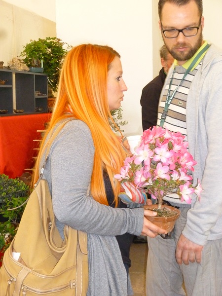 P1060774.JPG