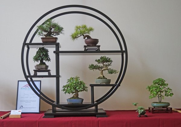 Schohin-Display, Andrea Schröder &amp; Klaus Mönch