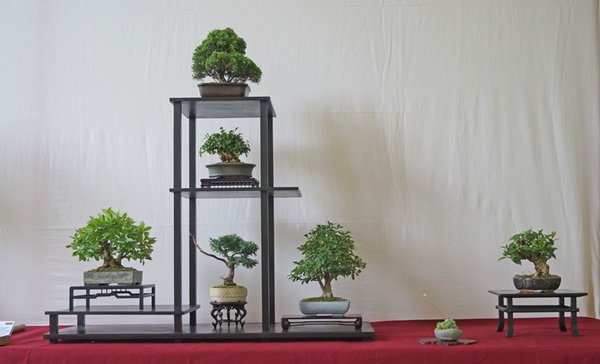 Shohin-Display, Uwe Lohse &amp; Thomas Pallmer