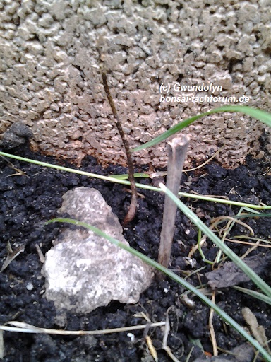 20140628_100737.jpg