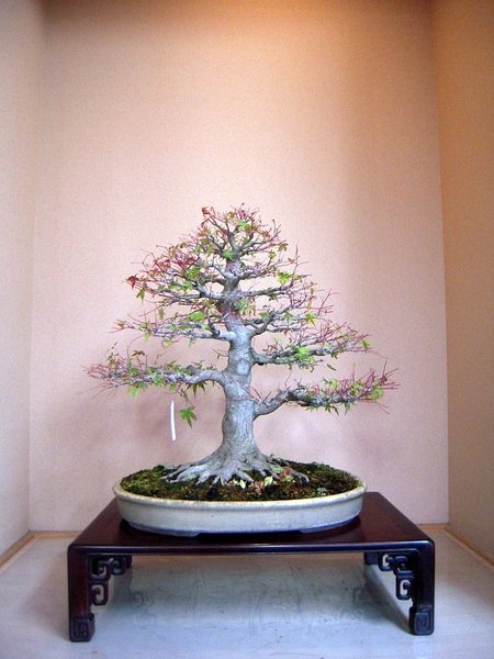 2013.11.jpg