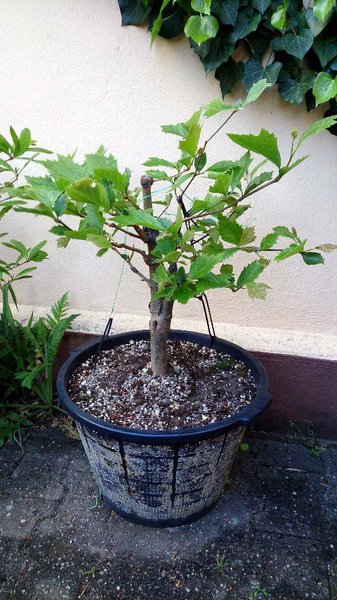 zustand mit abgebrochener spitze