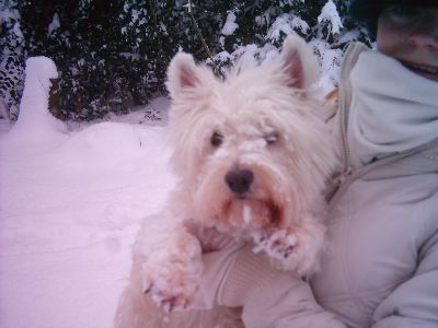 im schnee.JPG