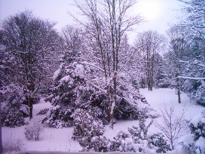 heut morgen blick aus fenster