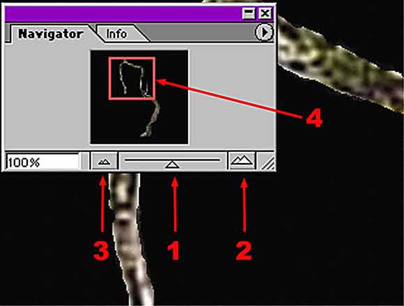 Navigator-erklärt.jpg