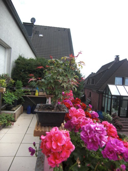 CIMG0559.JPG