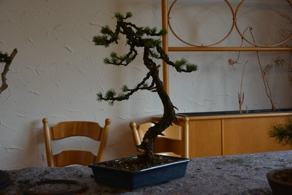 DSC_1436.JPG