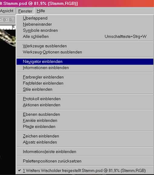 Fenster-Navigator.jpg