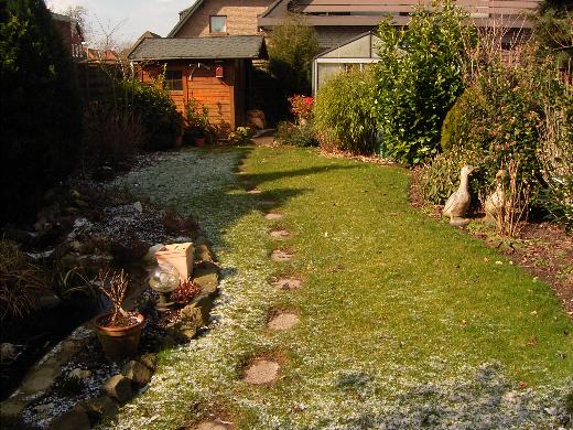 Frühling.JPG