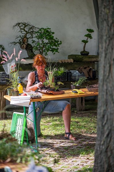 konzentrierte Bepflanzung eines weiteren Dachziegels