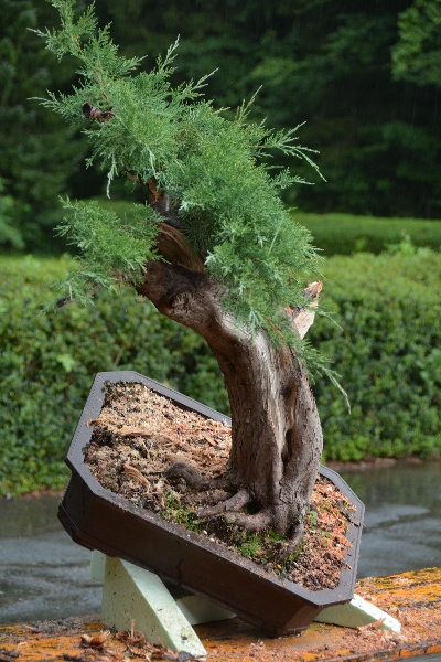 DSC_2719.JPG