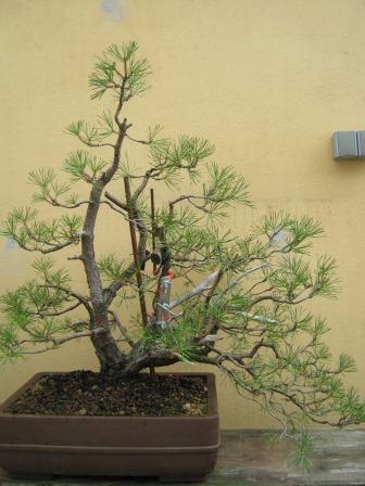 IMG_0262.JPG