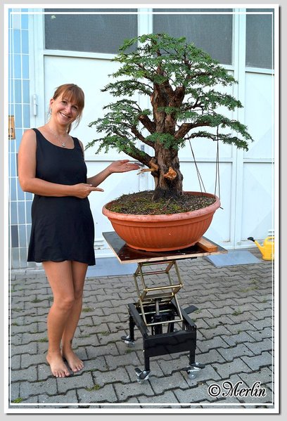 EibeMerlinAugust2014_NachherSylvia1.jpg