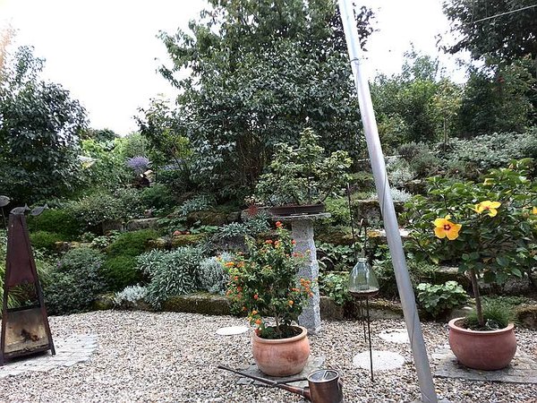 Garten14IMG_20140811_134026.jpg