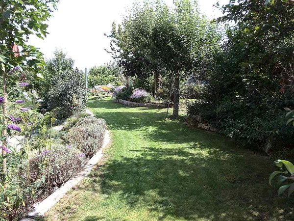 gartenIMG_20140811_134156.jpg