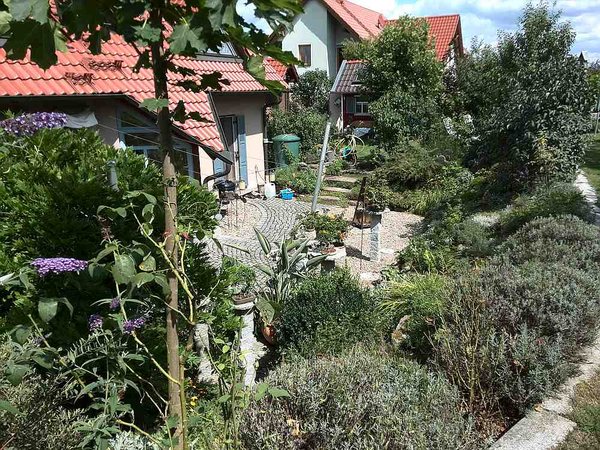 gartenIMG_20140811_134204.jpg